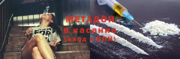 PSILOCYBIN Алзамай
