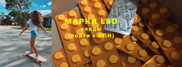 PSILOCYBIN Алзамай