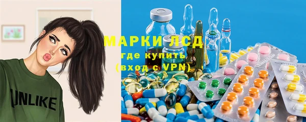 PSILOCYBIN Алзамай